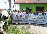 Bupati Humbahas Terima Bantuan Sapi Kurban dari Gubernur Sumatera Utara Bobby Nasution