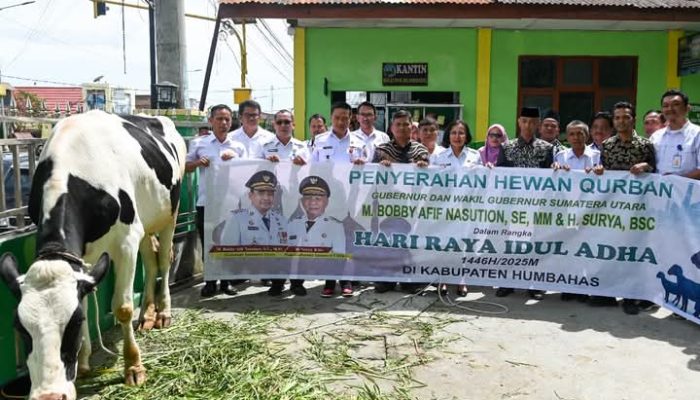 Bupati Humbahas Terima Bantuan Sapi Kurban dari Gubernur Sumatera Utara Bobby Nasution