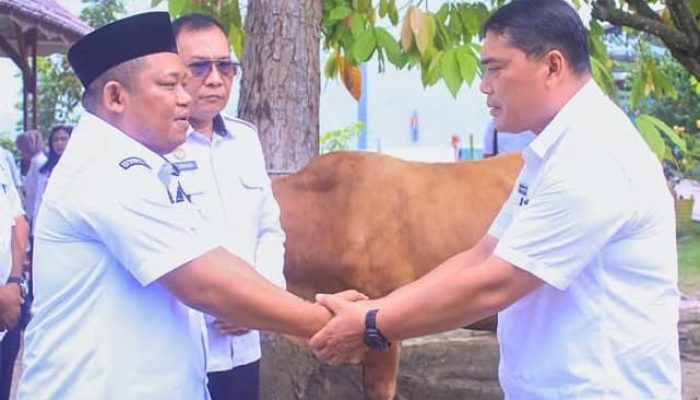 Sapi Kurban Bantuan Gubernur Sumut Diserahkan Wabup H Jamri kepada Lapas Kelas IIA