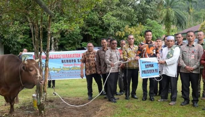 Bupati Humbahas Serahkan Bantuan Sapi Kurban Presiden dan Wakil Presiden RI di Kecamatan Tarabintang dan Parlilitan