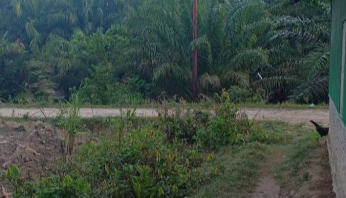 Peredaran Narkoba di Kualuh Hulu Kian Meresahkan, Warga Desak Polda Sumut Tangkap Bandar Besar “Uki”