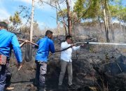 Bupati Humbahas Pimpin Padamkan Kebakaran Hutan di Perbukitan Danau Toba