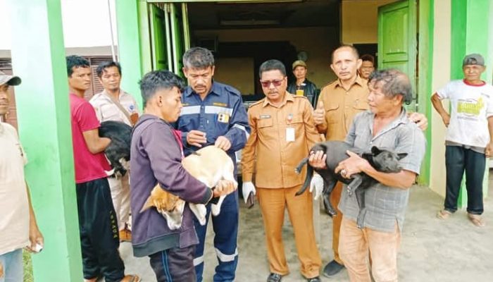 Pemerintah Kabupaten Humbahas Vaksinasi HPR di Lintongnihuta