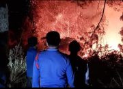 Kemarau Panjang Picu Kebakaran Hutan dan Lahan Pertanian di Humbahas