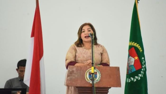 Pemkab Humbahas Sosialisasikan Peningkatan Kualitas Rumah Tidak Layak Huni untuk Dukung SPM Posyandu di Aula Hutamas