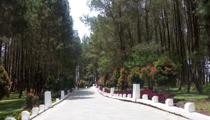 Turunkan Harga Tiket, Bupati Humbahas Harap Wisata Sipinsur Kembali Ramai Pengunjung