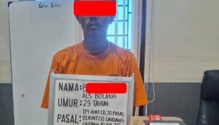 Satnarkoba Polres Labuhanbatu Gagalkan Pria Bawa Ganja 1,2 kg di Rantauprapat