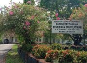 Honorer R4 Labuhanbatu Resah: Gagal CPNS, Nama Tak Terdata di BKPP