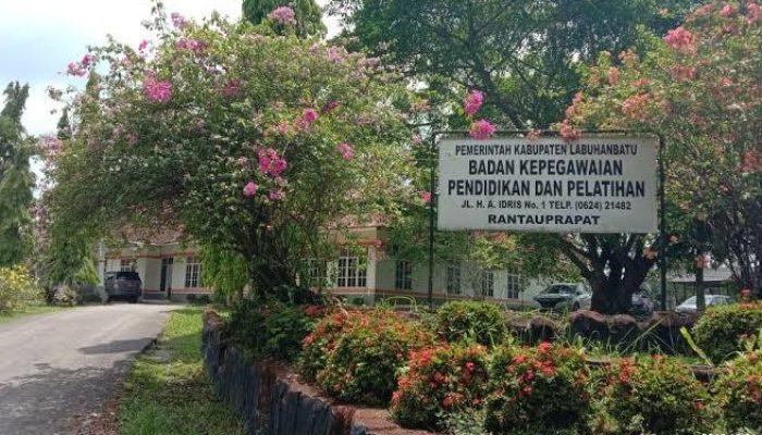 Honorer R4 Labuhanbatu Resah: Gagal CPNS, Nama Tak Terdata di BKPP