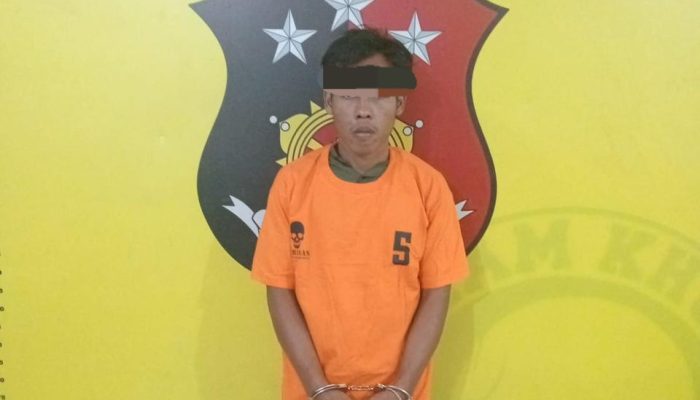 Polsek Kualuh Hulu Ringkus Pelaku Narkoba di Dusun Suka Mulia