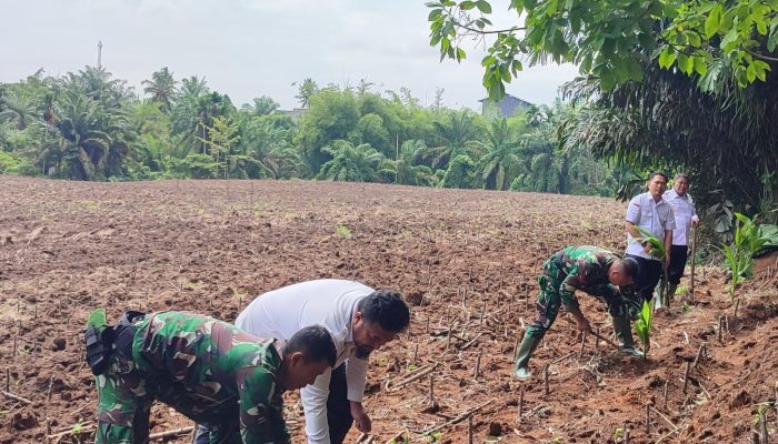 Wujudkan Pangan Berkelanjutan, Lapas Tebing Tinggi Gandeng Stakeholder Tanam Pohon Kelapa