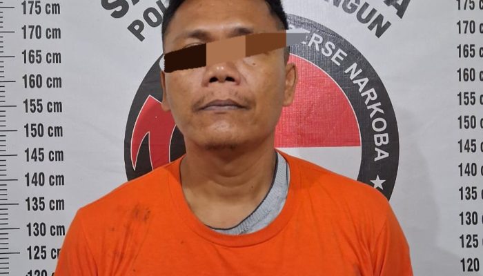 ‘Goplak’ Bandar Narkoba Asal Siantar Diciduk Satnarkoba Polres Simalungun di Nagori Karang Sari