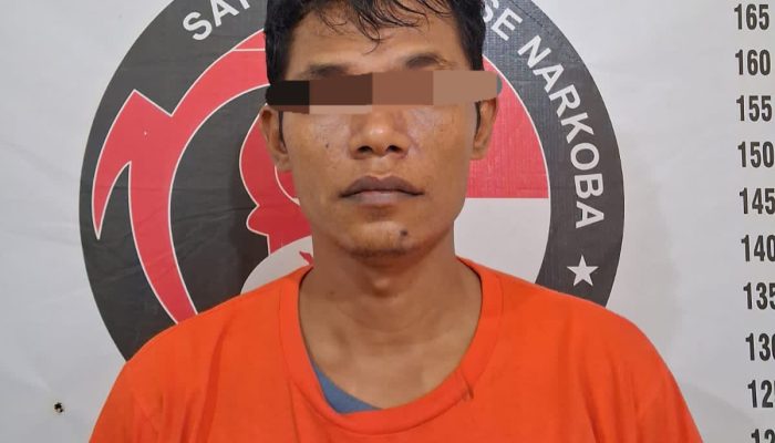 PM Ditangkap di Persawahan Desa Sibuntuon, Akui Barang Bukti dari Ucok Warga Parluasan Pematangsiantar