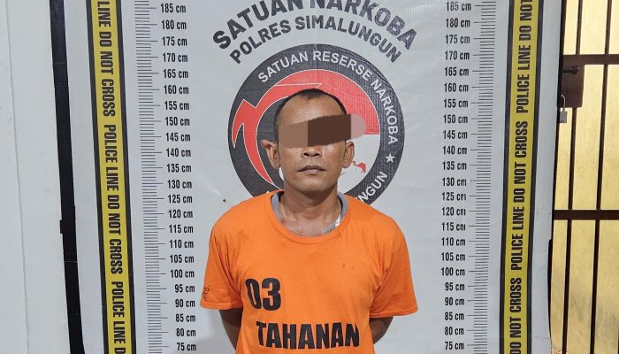 Sat Narkoba Polres Simalungun Tangkap Patkai di Huta I Nagori Purwodadi, Sita 8,74 Gram Sabu