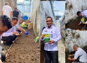 Rutan Tanjung Pura Tanam Bibit Kangkung Darat, Dukung Program Ketahanan Pangan dan Kemandirian Warga Binaan