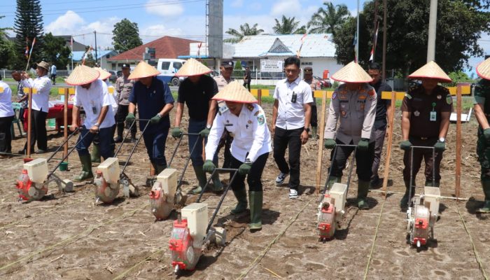 Polres Simalungun Ikut Penanaman Jagung Serentak Kuartal IV 2025, Kapolri dan Wapres Gibran Pimpin Secara Virtual