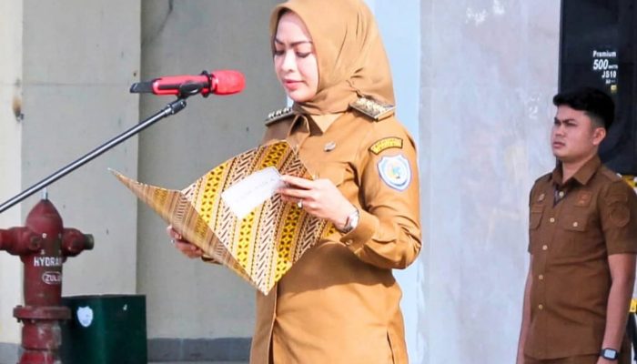 Bupati Labuhanbatu Hj Maya Hasmita Resmikan Universal Health Coverage 