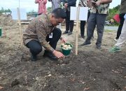 Bupati Bersama Anggota DPRD Humbahas Tanam Kentang di “Bumdes Sipalakki Makmur”