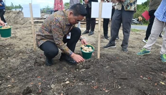 Bupati Bersama Anggota DPRD Humbahas Tanam Kentang di “Bumdes Sipalakki Makmur”