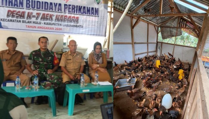 Pemdes N7 Aek Nabara Bantah Dugaan Penyimpangan Dana Desa TA 2023–2024