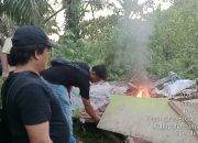 Lapak Haram di Perladangan Nagori Boluk Diratakan Polsesk Bosar Maligas