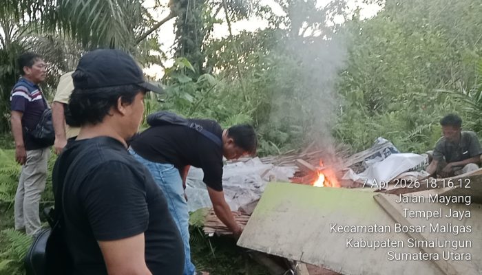 Lapak Haram di Perladangan Nagori Boluk Diratakan Polsesk Bosar Maligas