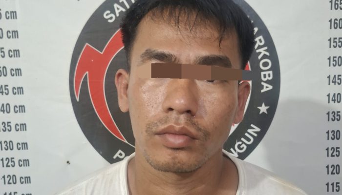 Polres Simalungun Sergap Transaksi Sabu di Kafe Hatonduhan, Satu Tersangka Dibekuk