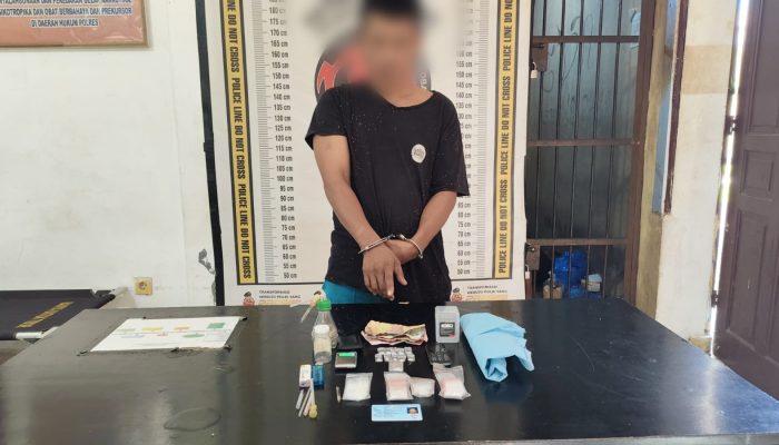 Tak Jera! Residivis Sabu Ditangkap Polsek Dolok Batu Nanggar di Ladang Ubi Usai Kabur Lompat Tembok