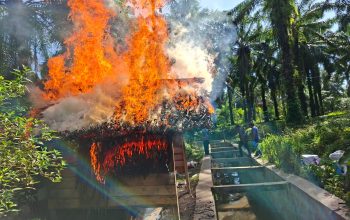 Sat Narkoba Polres Simalungun Bakar Sarang Narkoba di Tanah Jawa, Lima Pelaku Ditangkap Dan 99,74 Gram Sabu Disita