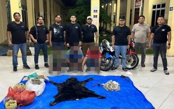 IPDA Gagas Pimpin Pengungkapan Kasus Perdagangan Satwa Dilindungi di Simalungun