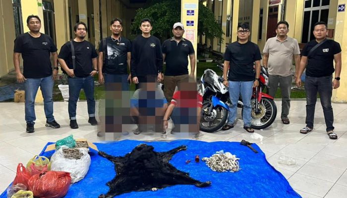IPDA Gagas Pimpin Pengungkapan Kasus Perdagangan Satwa Dilindungi di Simalungun