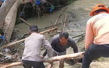 Nahas! Warga Hanyut Saat Menyeberangi Jembatan Bambu Menuju Ladang, Kapolsek Banuara Manurung Pimpin Operasi Pencarian