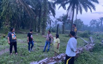 Gerak Cepat Polsek Tanah Jawa, Aduan Call Center 110 Soal Dugaan Peredaran Sabu Langsung Direspons