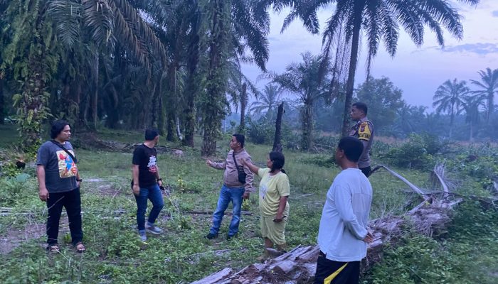 Gerak Cepat Polsek Tanah Jawa, Aduan Call Center 110 Soal Dugaan Peredaran Sabu Langsung Direspons