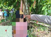 Polsek Jorlang Hataran Gerak Cepat Tangani Jasad Perempuan yang Ditemukan di Perladangan Coklat