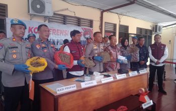 Polres Pematangsiantar Ungkap 3,2 Kg Ganja di Kampus USI, Tiga Tersangka Diamankan, Dua di Antaranya Mahasiswa Aktif