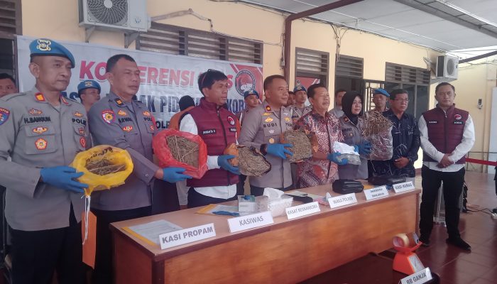 Polres Pematangsiantar Ungkap 3,2 Kg Ganja di Kampus USI, Tiga Tersangka Diamankan, Dua di Antaranya Mahasiswa Aktif