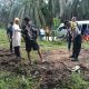 Polsek Gunung Malela dan Tim Inafis Polres Simalungun Tangani Olah TKP Penemuan Jenazah di Kebun Marihat