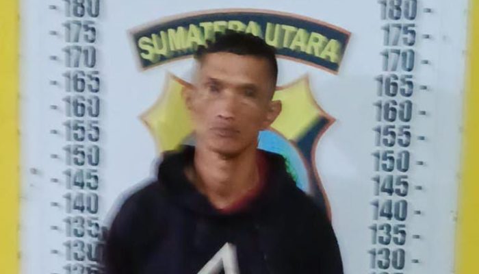 Gerak Cepat Polsek Dolok Silau Bekuk Pengedar Sabu, Barang Bukti 0,91 Gram Diamankan