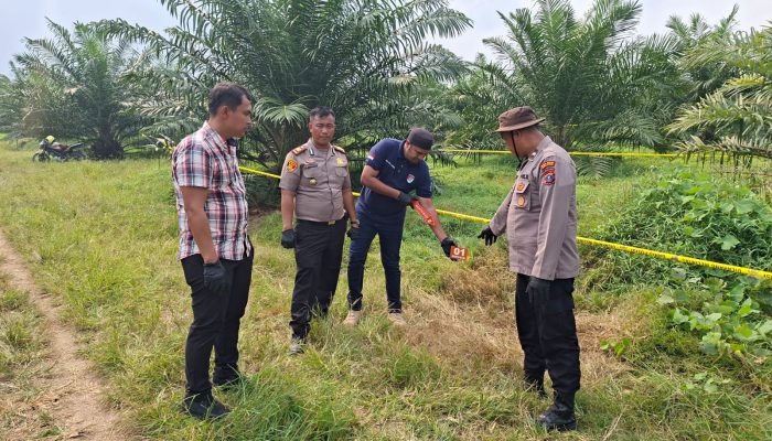 Polsek Gunung Malela dan Tim Inafis Ungkap Penyebab Kematian Wanita di Areal Perkebunan PTPN IV