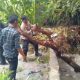 Haranggaol Dilanda Banjir, 4 Rumah Terendam dan 2 Rusak, Polres Simalungun Turun ke Lokasi