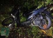 Pohon Tumbang Renggut Nyawa Pelajar di Jalan Medan Km 12,5, Polsek Dolok Batu Nanggar Bantu Evakuasi