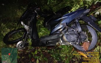 Pohon Tumbang Renggut Nyawa Pelajar di Jalan Medan Km 12,5, Polsek Dolok Batu Nanggar Bantu Evakuasi
