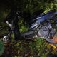 Pohon Tumbang Renggut Nyawa Pelajar di Jalan Medan Km 12,5, Polsek Dolok Batu Nanggar Bantu Evakuasi